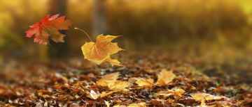 Volkan Zai̇moğlu ile Sanat ve Felsefi